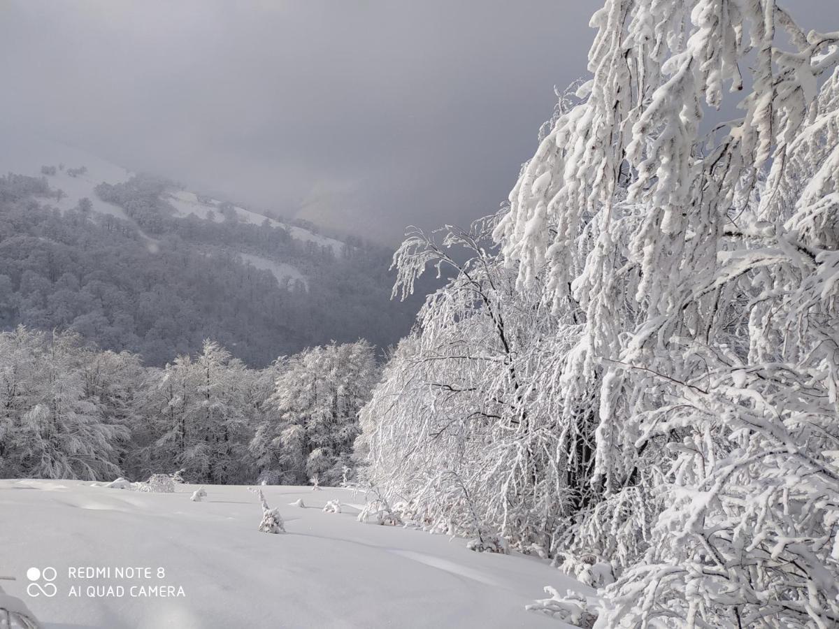 Sadyba Gostynniy Dvir Izki Esterno foto