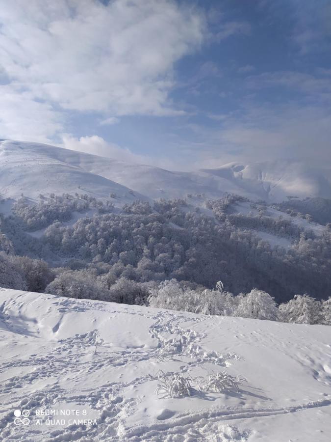 Sadyba Gostynniy Dvir Izki Esterno foto